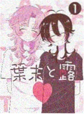 花与剑